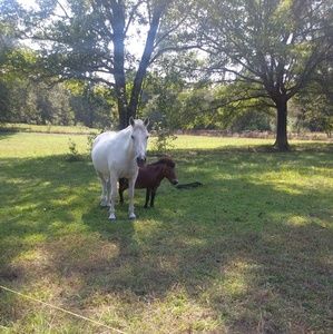 Meet your Posher, Trina